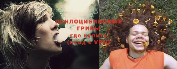 a pvp Алзамай