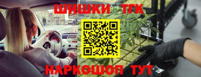 твердый Бердск