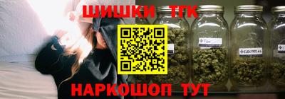 твердый Бердск
