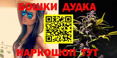 твердый Бердск