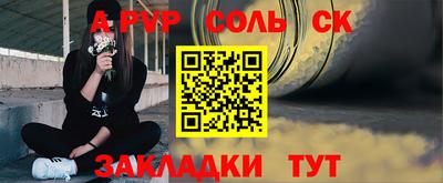 твердый Бердск