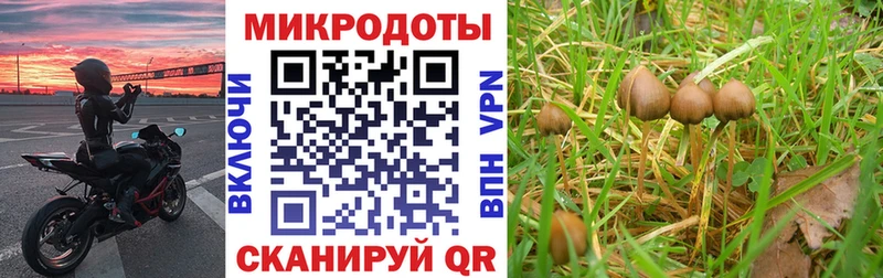 Псилоцибиновые грибы Cubensis  Волоколамск 