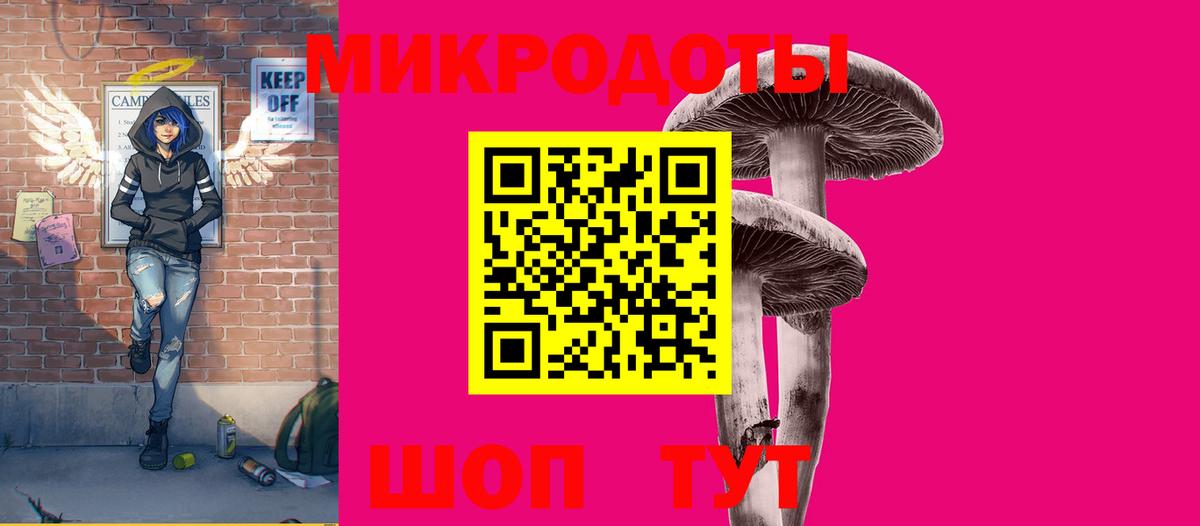 Псилоцибиновые грибы Psilocybe Волоколамск